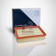 FILTRO AIRE MOTOR LOMBARDINI LDW502 ORIGINAL 