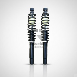AMORTIGUADORES DELANTEROS  LIGIER 0200077