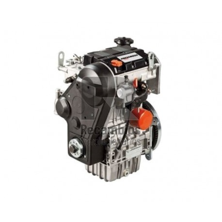MOTOR LOMBARDINI LDW 502