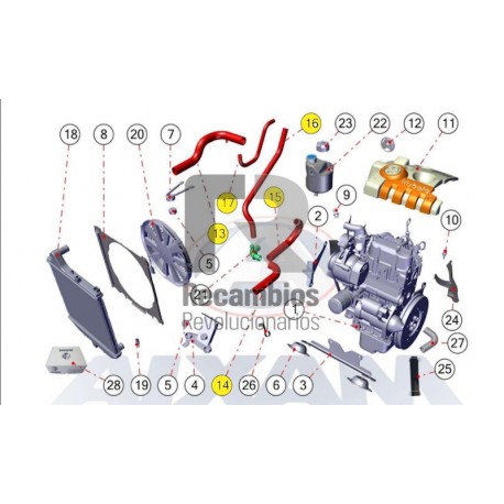 MANGUITO RADIADOR AIXAM  110BF019