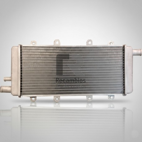 RADIADOR MOTOR LOMBARDINI DCI LDW442 CHATENET